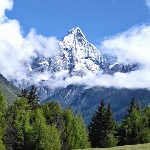 达芬奇密码头像