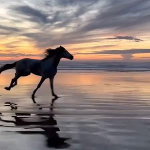 王老吉老师讲升学头像