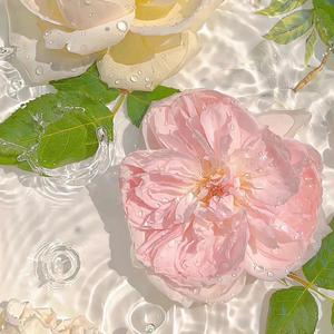 @是王小姐呀！头像