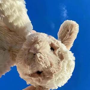 可乐不可爱头像