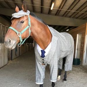 宇宙皇帝王小明头像