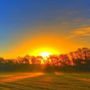 呦吼，是你呀头像