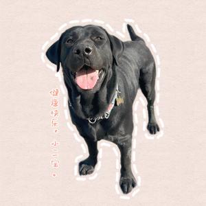 🐕‍🦺二宝吃不饱🐾头像