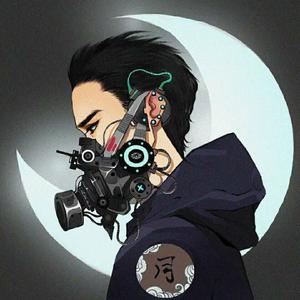 月神网络安全头像