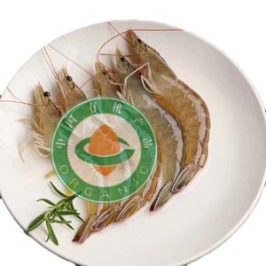 有机0抗盐田虾头像