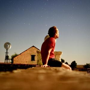 红色的小海豚头像