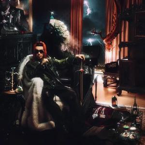 称职的笨蛋头像