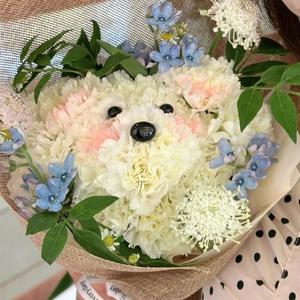 一朵小云云🧑‍🎨头像