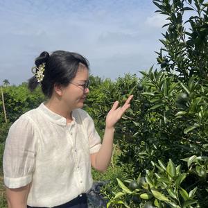 新会陈皮文文头像