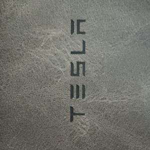 double的特斯拉头像