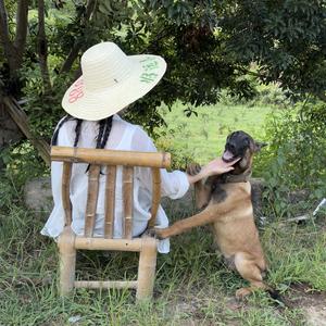 橙子在变好头像