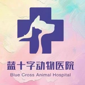 蓝十字动物医院万达店头像