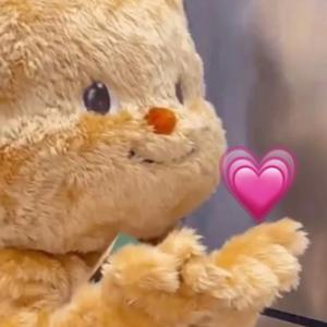 小米老师聊教资头像