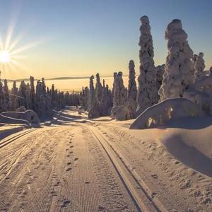 毒🔥电影194915875头像