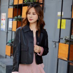 壹琳翡金美头像