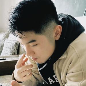 叫贺总好了头像