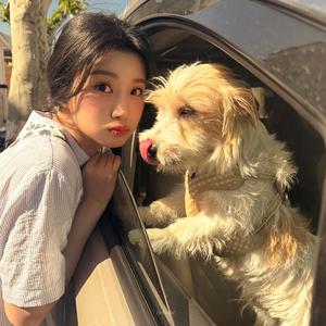 真不懂了嗷.头像