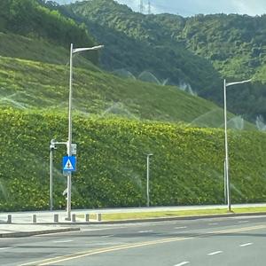 小G旅行与建筑头像