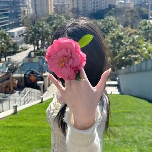 不叫姨要叫靓姐姐房东头像