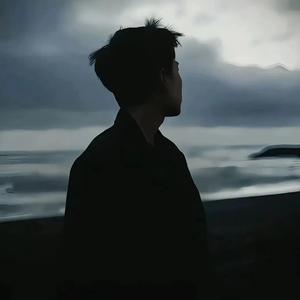 岳阳丝续专业接发头像