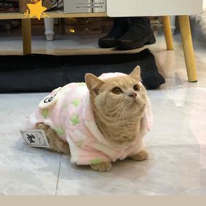养猫的树