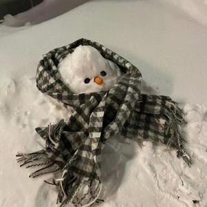 一只雪碧羊头像