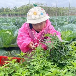 90宝妈的治愈日常头像