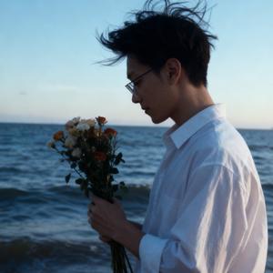 十年戎马心孤单头像