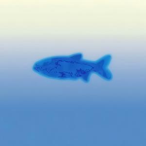 内向金鱼草头像