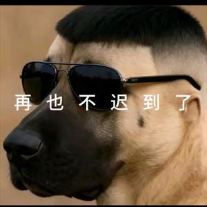 取个名真累头像