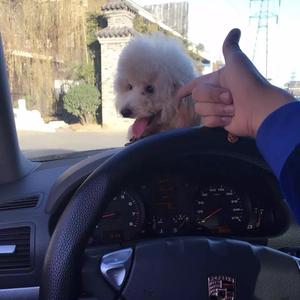 ᝰꫛ小九ꫀꪝ头像