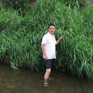 别闹、数钱呢！头像