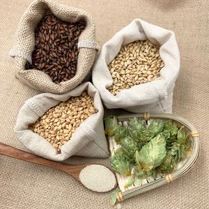 精酿啤酒原料-赵清头像