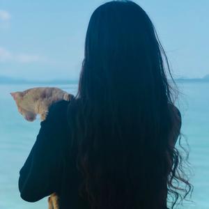 威威猫来喽头像