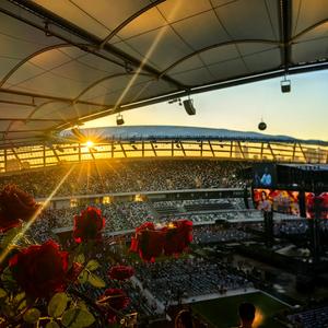 2025HEU投资学作业号头像