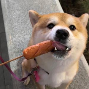 KK头像