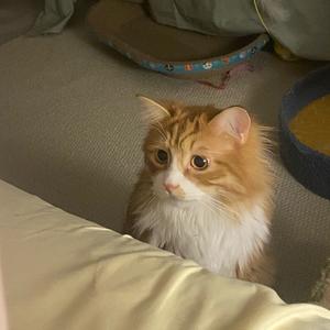 蹦蹦生活日记头像