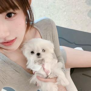 给我俩百万头像