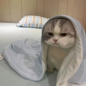 我想喝霸王头像