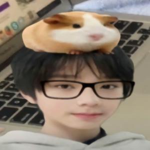 成都第一恋哥癖ovo头像