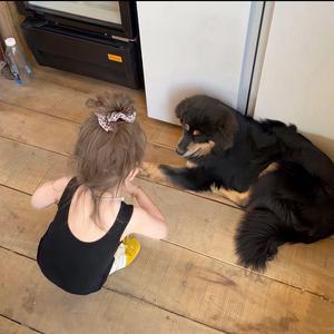 你是不是油猫饼头像