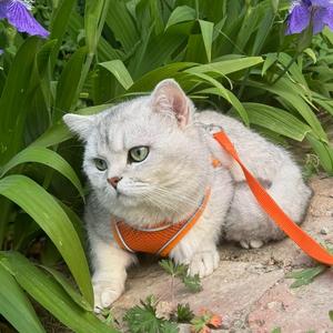 阿夏的小院头像