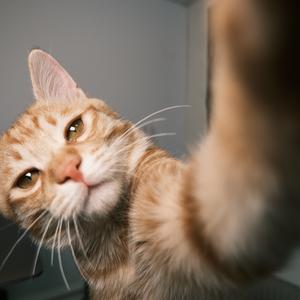 请帮我盯着娃写作业头像