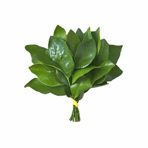 ᶻᵃᵒ點睡✰头像