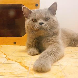 🌸心所向，皆可往🌸头像