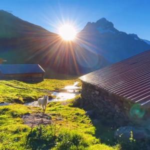 ZH🅾️U🔆头像