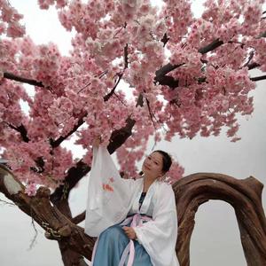 旅行推荐官陈雪儿头像