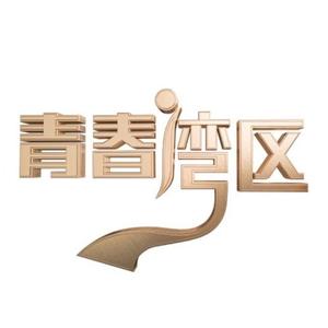 青春湾区青少年平台头像