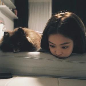 歪头小猫不说鱼块头像