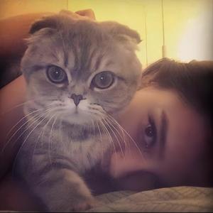 ㅤㅤ好吃魚头像